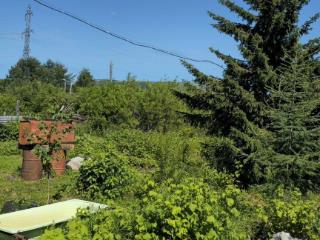  дом, 32.5 м², 20.2 соток