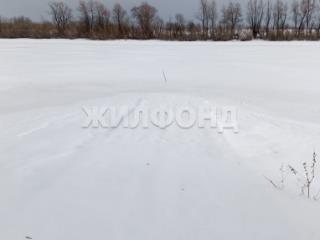  дом, 220 м², 8 соток