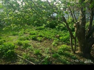 1-этажный дом, 42.6 м², 4.4 сотки