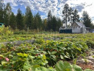  дом, 31 м², 10.11 соток