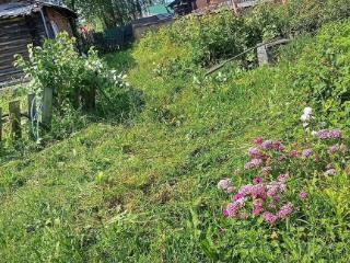  дом, 54 м², 10 соток