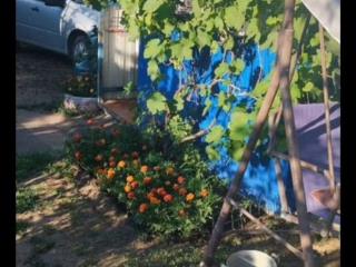  коттедж, 35 м², 6 соток