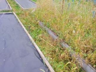  коттедж, 30 м², 5.8 соток