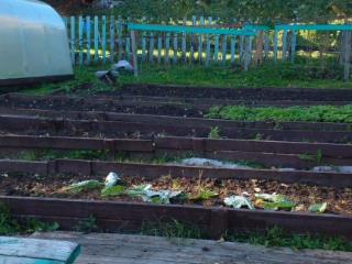  дом, 37.8 м², 6 соток