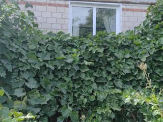 1-этажный дом, 84.5 м², 11 соток