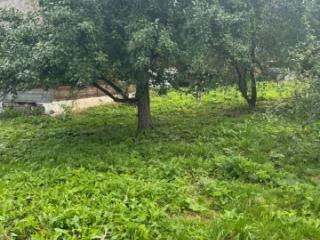 1-этажный дом, 39.8 м², 15 соток