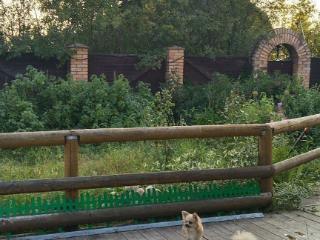  дом, 150 м², 12 соток