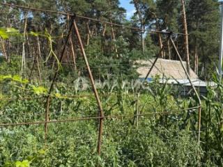  дом, 102.5 м², 12.98 соток