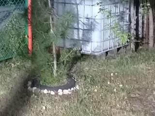 Продается земельный участок, 7 соток