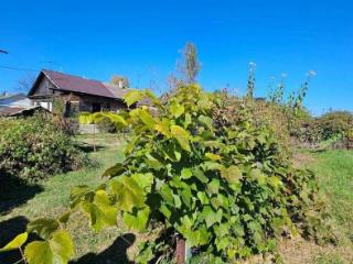  дом, 50 м², 104 сотки