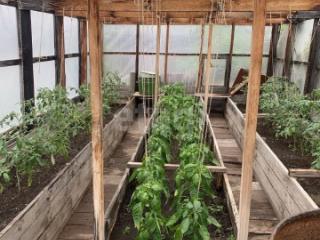 1-этажный дом, 58 м², 8.7 соток