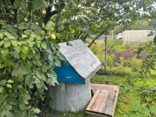 1-этажный дом, 26 м², 8 соток