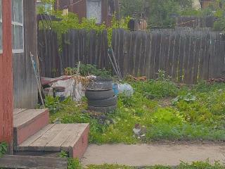  дом, 65 м², 4 сотки