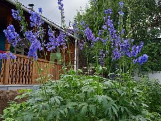 1-этажный дом, 60 м², 10 соток