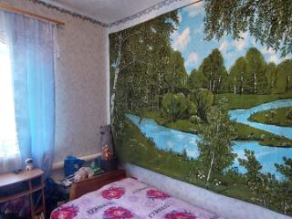 3-комн. квартира, 45.4 м², 1/1 этаж