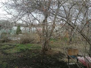  коттедж, 30 м², 6 соток
