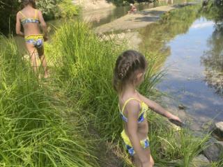 1-этажный дом, 60 м², 10 соток