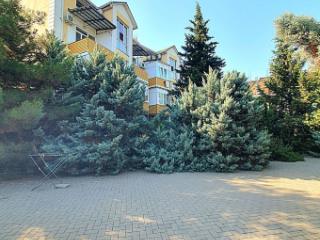 Студия, 15 м², 4/4 этаж