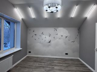  дом, 261 м², 11 соток