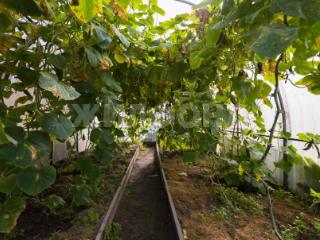  дом, 80 м², 7 соток