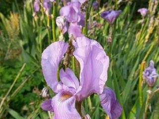 1-этажный дом, 56.4 м², 8.5 соток