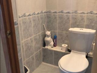  дом, 206.8 м², 12 соток