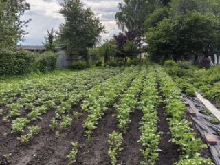 2-этажный дом, 86 м², 15 соток