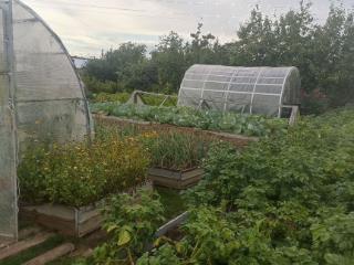  коттедж, 10 м², 11 соток