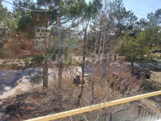  дом, 147 м², 7.04 соток