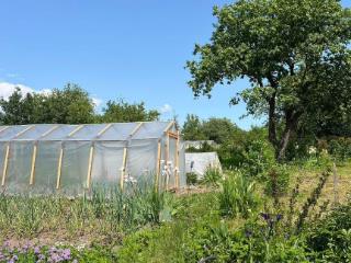  коттедж, 20 м², 11.8 соток