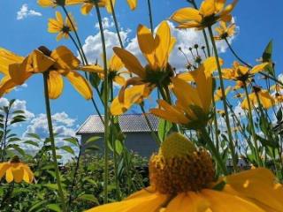 2-этажный дом, 140 м², 12 соток