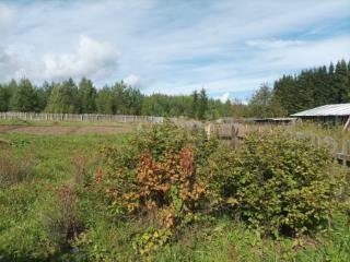 1-этажный дом, 32.6 м², 18 соток