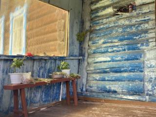 1-этажный дом, 25.3 м², 37 соток