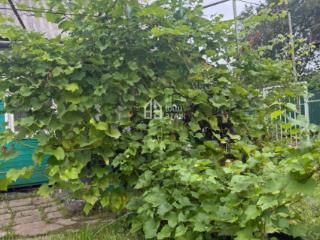 1-этажная дача, 35 м², 5 соток