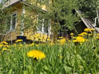  дача, 20 м², 4.67 сотки