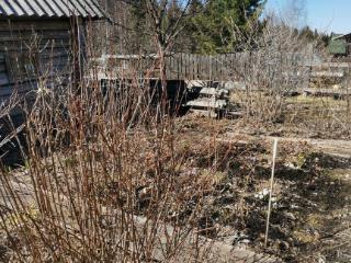 Купить землю, 5.2 соток