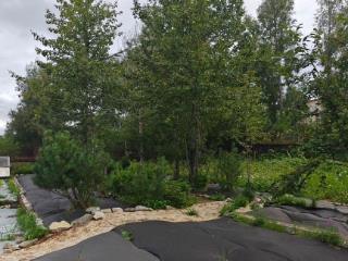  дом, 38.5 м², 15.5 соток