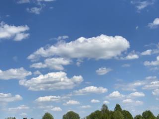 1-этажный дом, 25.3 м², 37 соток