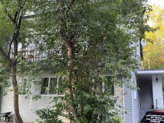 1-этажный дом, 60 м², 4 сотки