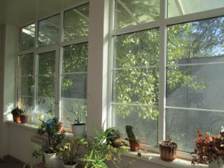 2-этажный дом, 369.3 м², 5 соток