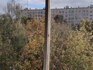 1-комн. квартира, 32.5 м², 5/5 этаж