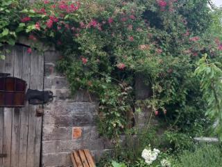 1-этажный дом, 56.4 м², 8.5 соток