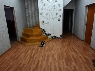  дом, 240 м², 10 соток