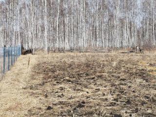  дом, 79.1 м², 14 соток