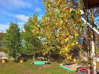  дом, 49 м², 15 соток