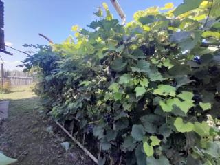 1-этажный дом, 80.2 м², 30 соток