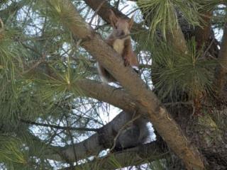 2-этажный дом, 200 м², 9 соток