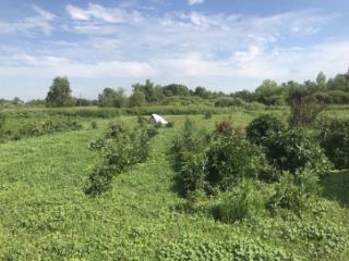 2-этажный дом, 60 м², 42 сотки