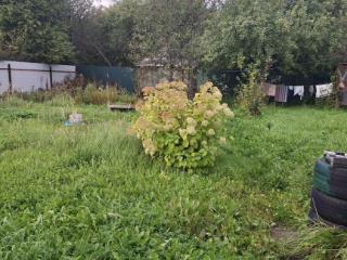  коттедж, 20 м², 4.2 сотки