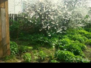 1-этажный дом, 42.6 м², 4.4 сотки